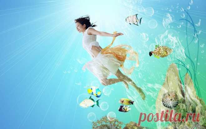 рыба, дизайн, море, фон, компьютер вектор - ForWallpaper.com