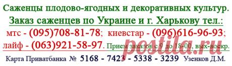 Средства защиты растений, ядохимикаты, опт, качественные