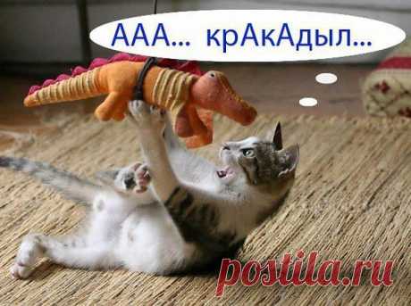 АНДРЕЙ: БЕСЁНОК