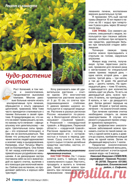 Очиток - чудо-растение