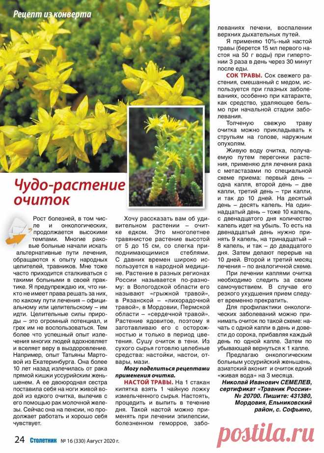 Очиток - чудо-растение