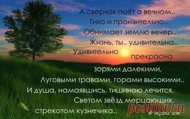 i (780×487)