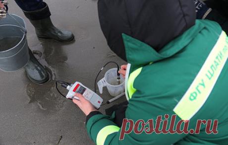 В Минприроды Дагестана назвали главную версию гибели нерп. По данным министерства, происшествие связано с природными факторами