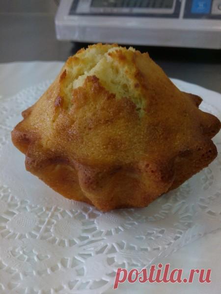 Дневник Montileda