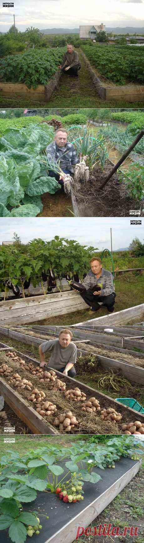 (49) Одноклассники