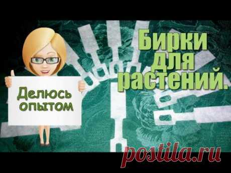 в