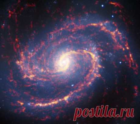 ALMA сфотографировал галактику с активным звездообразованием Представленная фотография была сделана комплексом радиотелескопом ALMA (Atacama Large Millimeter/submillimeter Array) в рамках обзора PHANGS (Physics at