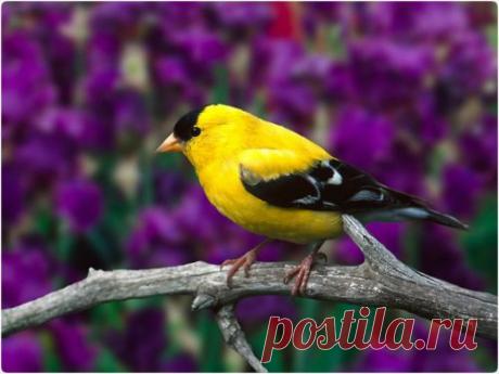 Мой Мир@Mail.Ru