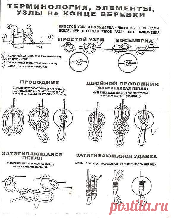 Терминология, элементы, узлы на конце веревки • Узлы для привязывания к точкам опоры • Узлы для связывания веревок • Схватывающие узлы • Специальные узлы
