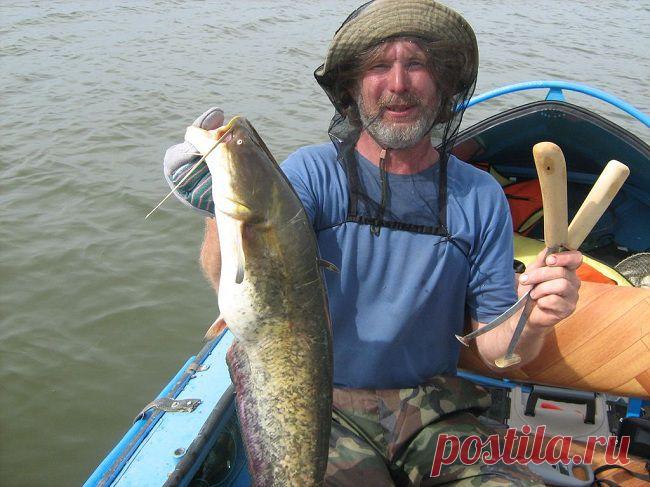 Неразгаданная тайна квока