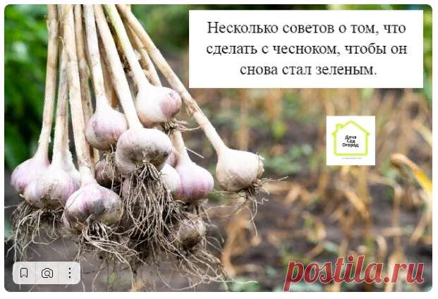 Новости