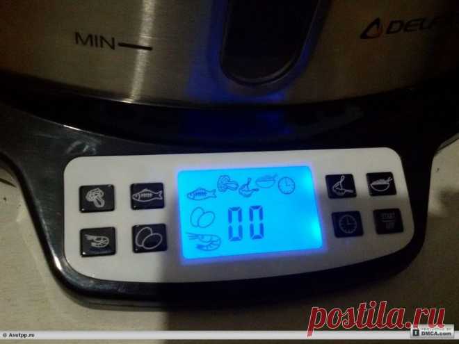 Включаем пароварку в сеть. Работает! Ремонт пароварки своими руками: пошаговый мастер-класс