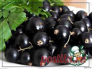 Варенье-желе из черной смородины - кулинарный рецепт