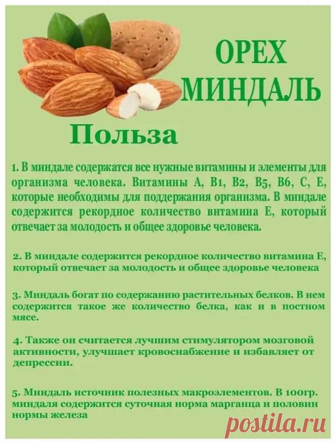 Орех миндаль польза
