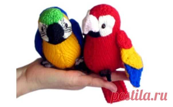 Вязаный попугай Перчик. Описание
