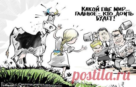 АНТИМАЙДАН И НАС 778 000 - СЛАВА БОГУ ЗА ВСЕ!
Walera VL