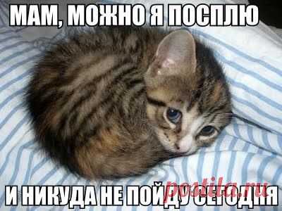 Фото Без названия. Альбом Фото группы - 50 фото. Фотографии КОТОВАСИЯ.