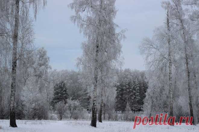 ФОТОМАСТЕРСКАЯ ПРИРОДЫ
Валентина Кобцева