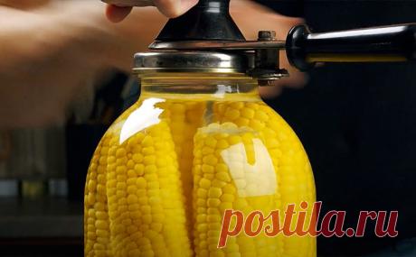 Закрываем кукурузу в банку и маринуем как огурцы. Можно будет есть целиком или использовать в салаты