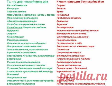 Веда Липецкая