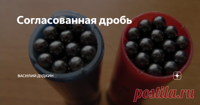 Согласованная дробь 
Первые упоминания о том, что гладкоствольное ружье стреляет одной дробью хорошо, а другой хуже, появилось у С.Т. Аксакова 
Эффект согласования дроби состоит в том, что согласованная дробь меньше подвергается деформации в дульном сужении, идёт более кучно, даёт равномерную осыпь и сохраняет убойную силу на больших расстояниях.