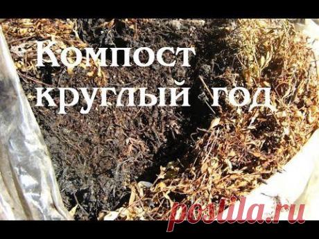 Компост круглый год - YouTube
