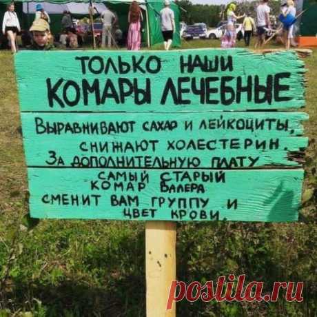 Апофеоз юмора: 18 убойных надписей и объявлений, которые невозможно оставить без внимания