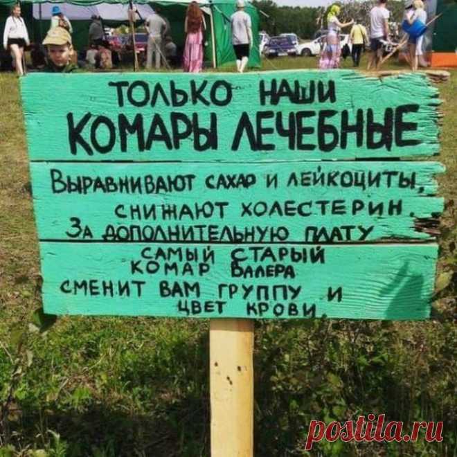 Апофеоз юмора: 18 убойных надписей и объявлений, которые невозможно оставить без внимания