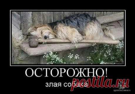 Мой Мир@Mail.Ru