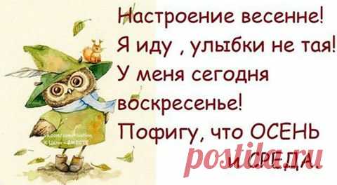 (2) Facebook