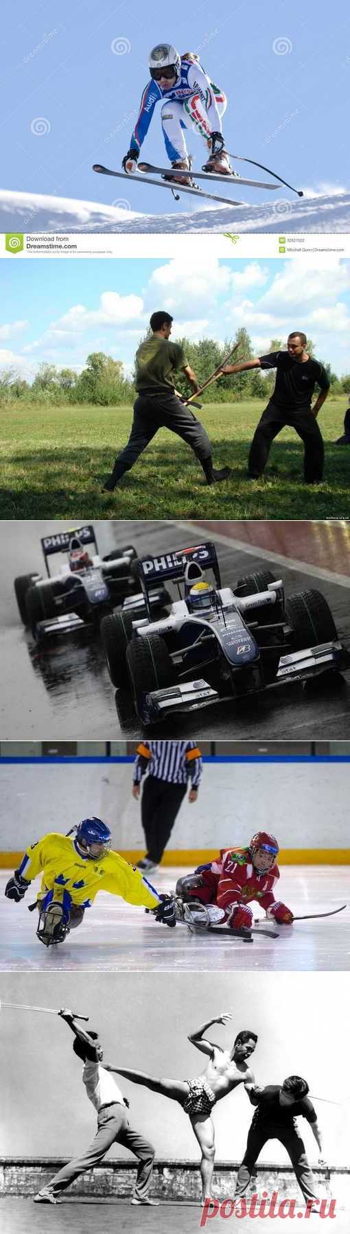 Петанк, Плавание, Стрельба из лука, Акватлон. (1/1) - Спортивный форум. - Спортивный сайт