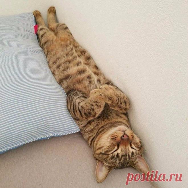 И пусть весь мир подождет