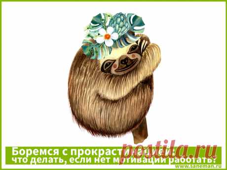 Боремся с прокрастинацией: что делать, если нет мотивации работать? Прокрастинация – это склонность человека постоянно откладывать важные и срочные дела на потом. Вследствие, у нас появляется апатия, пропадает мотивация, а также наблюдается подавленное и болезненное состояние.
Человек, который столкнулся с такой неприятностью, постоянно ощущает тревогу, и пытается увильнуть от выполнения какой-либо работы. Лень и прокрастинация Многие люди не различают понятия «лень» и «пр...