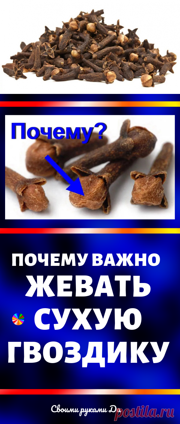 Зачем нужно жевать сушеную гвоздику