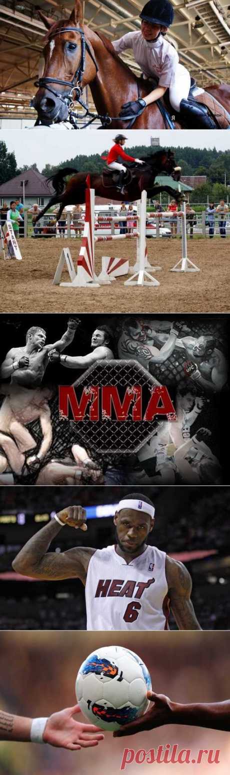 Шахматы, Каноэ поло, Спортинг, Бобслей. (1/1) - Спортивный форум. - Спортивный сайт