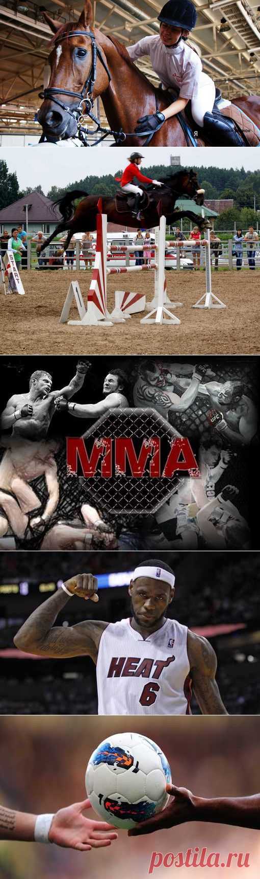 Шахматы, Каноэ поло, Спортинг, Бобслей. (1/1) - Спортивный форум. - Спортивный сайт