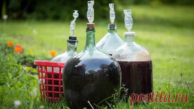 Без Чего Не Получится Вкусное Домашнее Вино | vinodel.beer | Яндекс Дзен