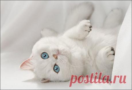 Красивые стихи…
♥ Сама по Себе ♥