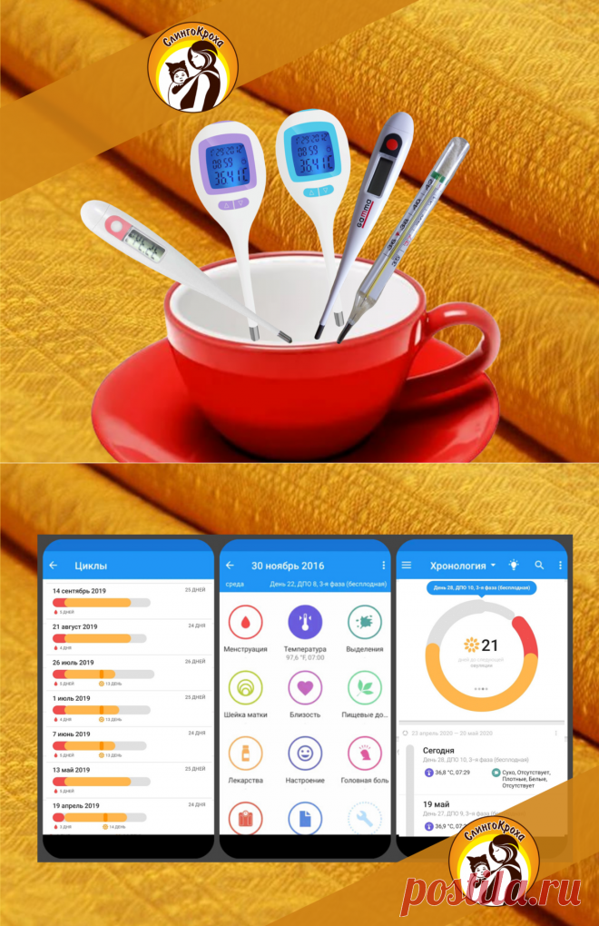 3 год без предохранения, или как я пользуюсь градусником | СлингоКроха | Яндекс Дзен