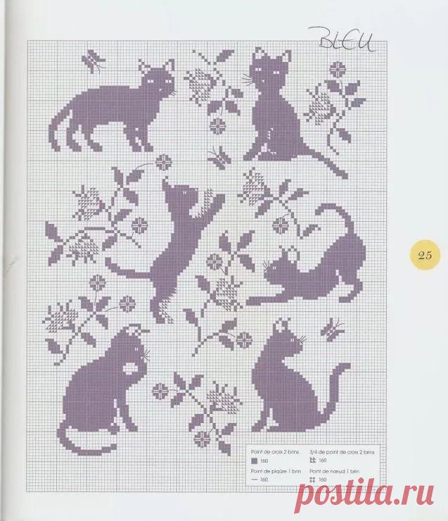 КОЛЛЕКЦИЯ ЖАККАРДА 