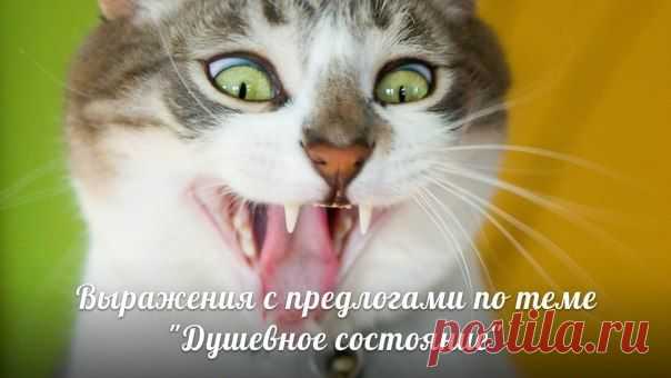 Выражения с предлогами по теме Душевное состояние / Неформальный Английский