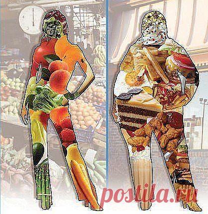 📢 Сегодня  в 21.00 по мск открытое занятие!!! 📢 Вы узнаете о роли белка в снижении веса. У вас есть возможность начать новые перемены в своей жизни. Тренера Школы желают вам лёгкого старта и весело убегающих килограммов! Вход на занятие по ссылке  http://svetlanarosina.akademiapitania.ru/