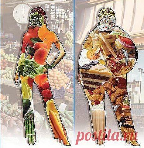 📢 Сегодня  в 21.00 по мск открытое занятие!!! 📢 Вы узнаете о роли белка в снижении веса. У вас есть возможность начать новые перемены в своей жизни. Тренера Школы желают вам лёгкого старта и весело убегающих килограммов! Вход на занятие по ссылке  https://svetlanarosina.akademiapitania.ru/