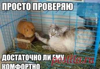 Odnoklassniki – Сообщество – Google+
