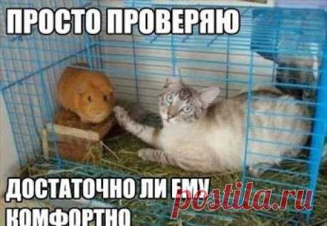 Odnoklassniki – Сообщество – Google+