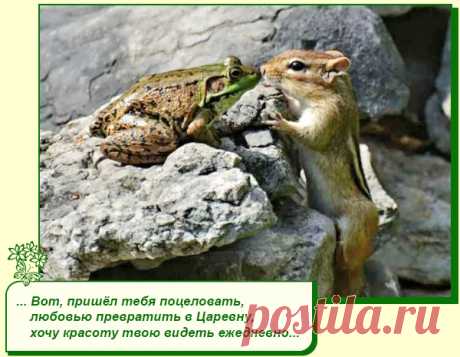 Хорошего Вам настроения.