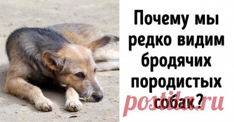 10 принципов экозащитников, которые оказались не более чем фикцией . Милая Я