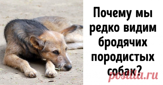 10 принципов экозащитников, которые оказались не более чем фикцией . Милая Я