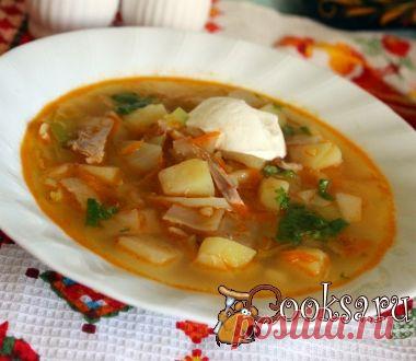 Щи из свежей капусты с репой фото рецепт приготовления