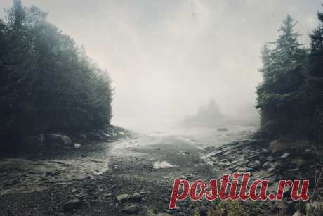 Чарующие фотографии осенних туманов » Notagram.ru